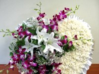 FH1(175) : funeral, heart